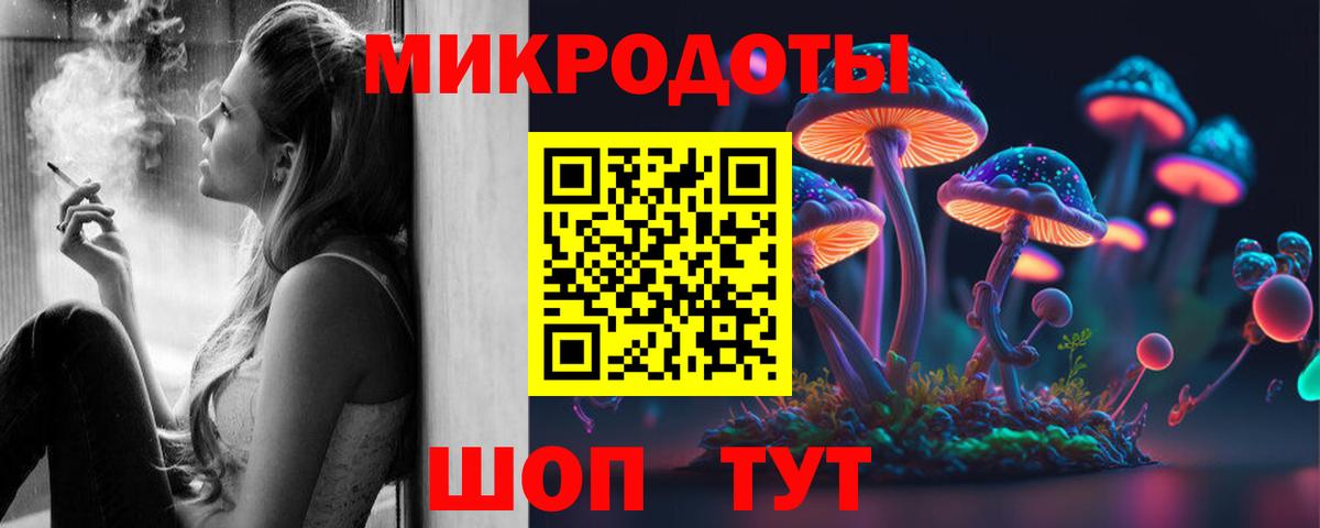 Псилоцибиновые грибы Psilocybe Чайковский